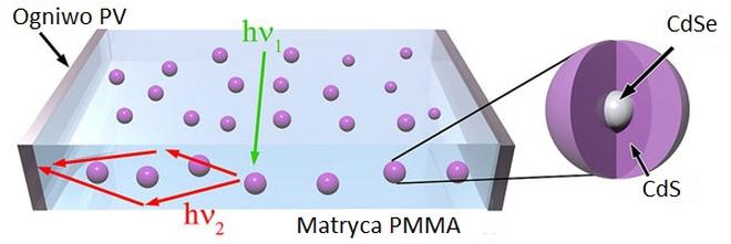 Kropki kwantowe absorbują promieniowanie i transportują je przez matrycę z tworzywa sztucznego PMMA do ogniw PV na krawędziach.
